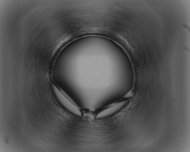 X0000091931218200710031052