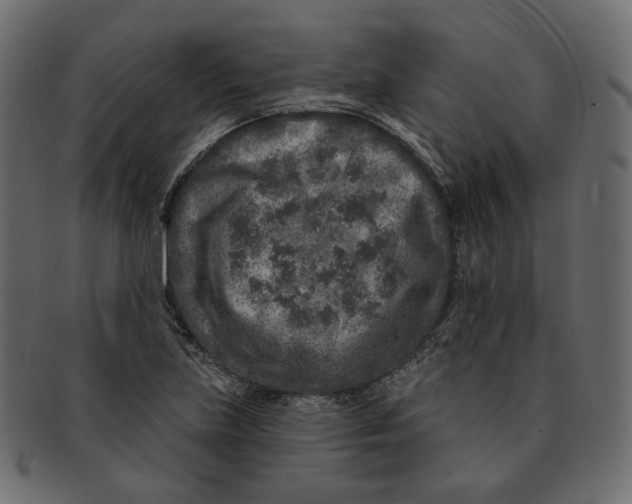 X0000091931219200710031052