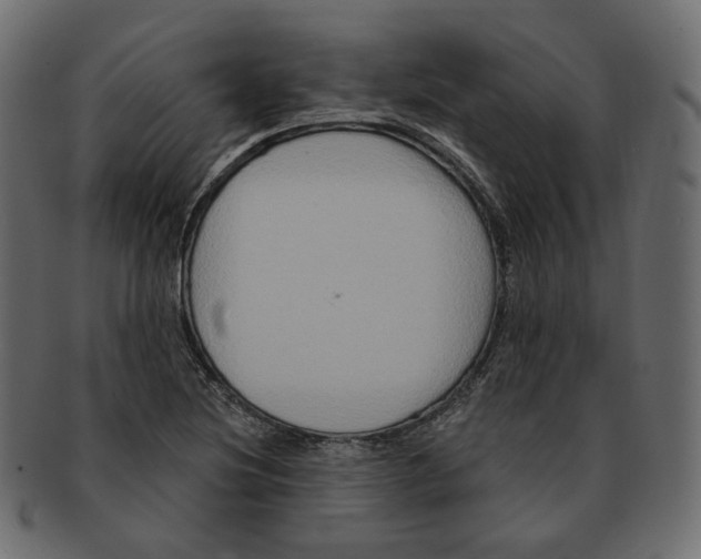 X0000091931220200710031052