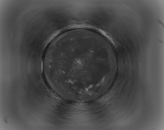 X0000091931221200710031052