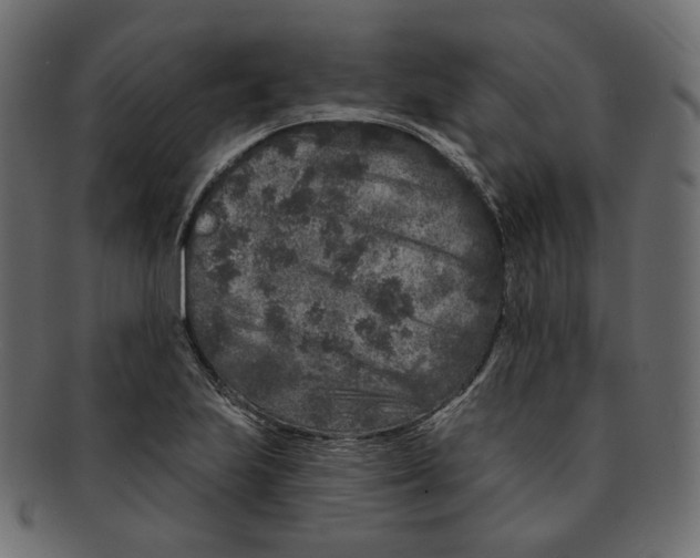 X0000091931223200710031052