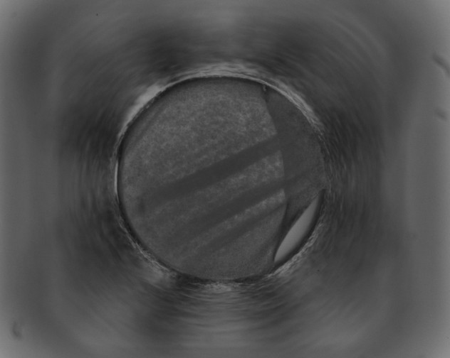 X0000091931224200710031052