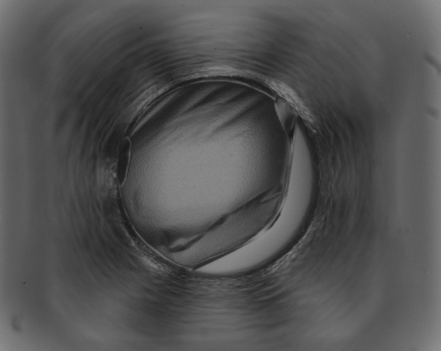 X0000091931225200710031052