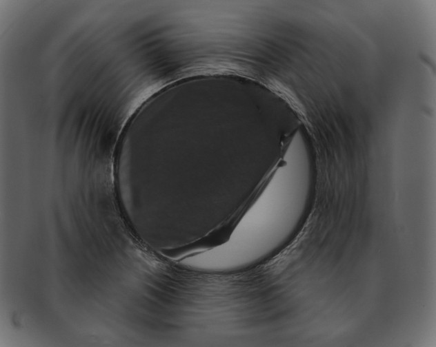 X0000091931226200710031052