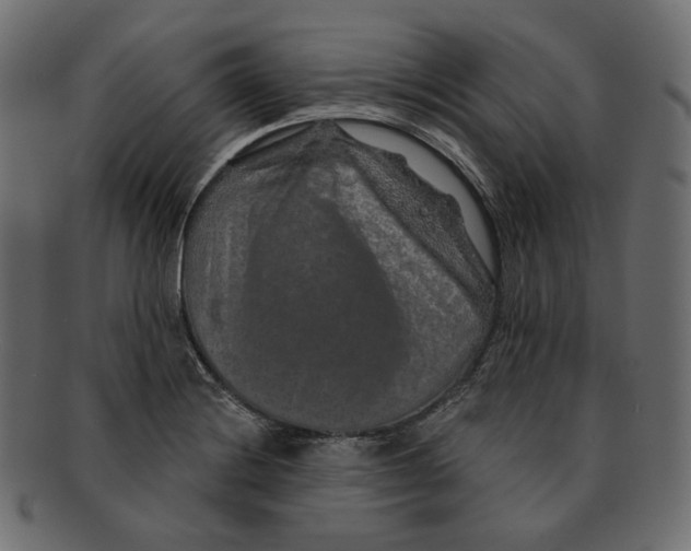 X0000091931228200710031052