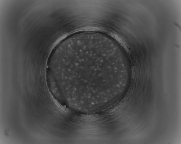 X0000091931229200710031052