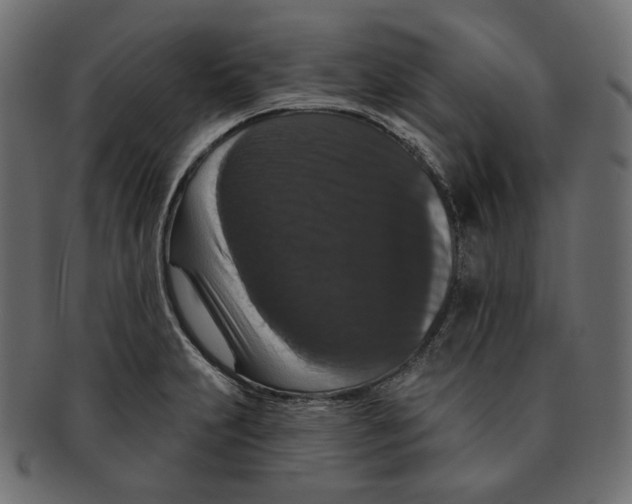 X0000091931231200710031052