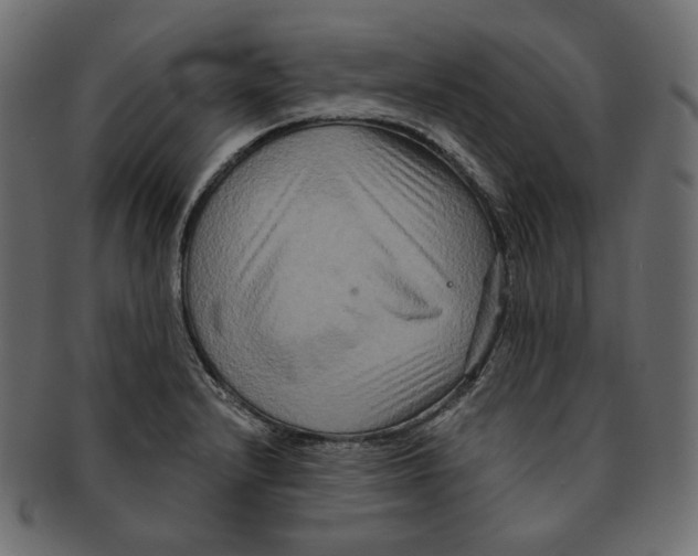 X0000091931232200710031052