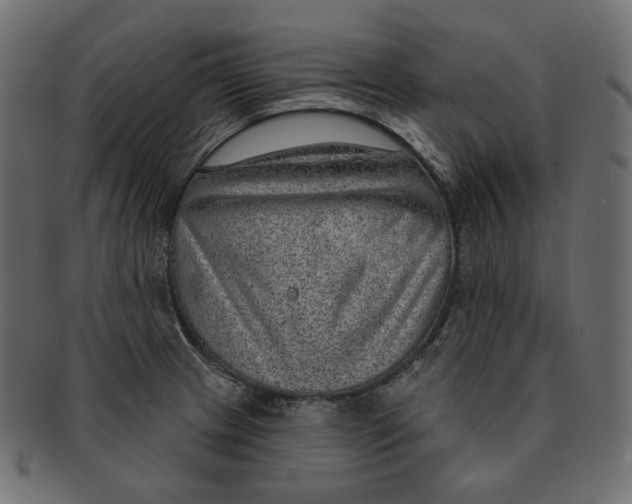 X0000091931233200710031052