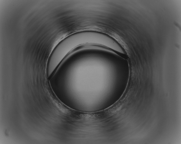 X0000091931234200710031052