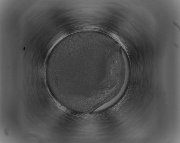 X0000091931235200710031052