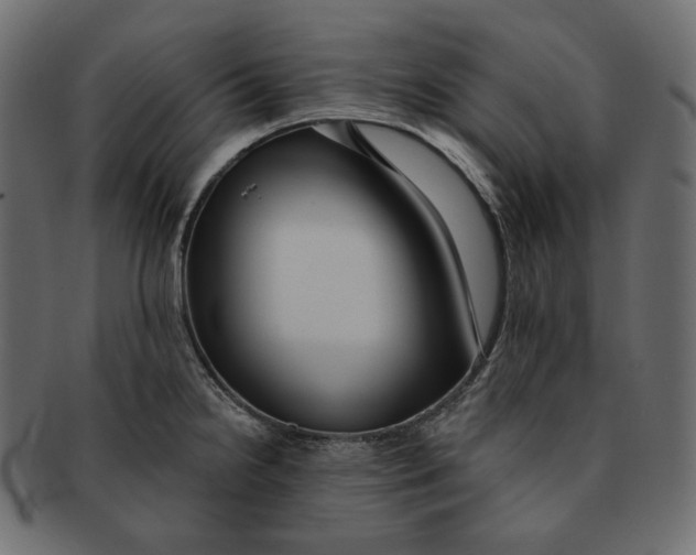 X0000091931238200710031053