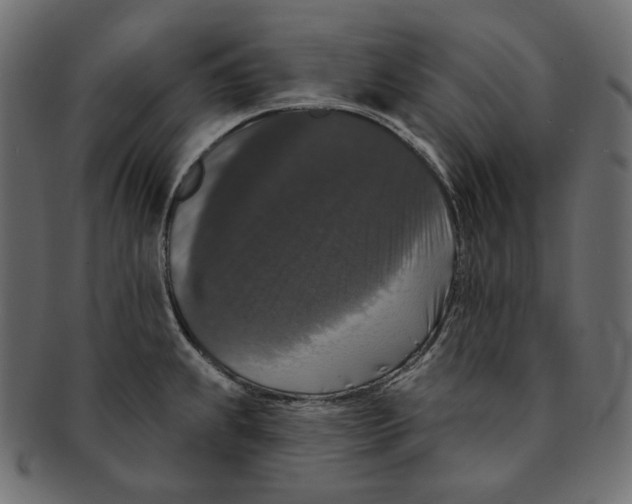 X0000091931239200710031053