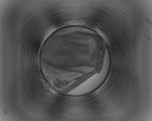 X0000091931240200710031053