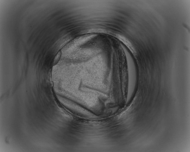 X0000091931241200710031053