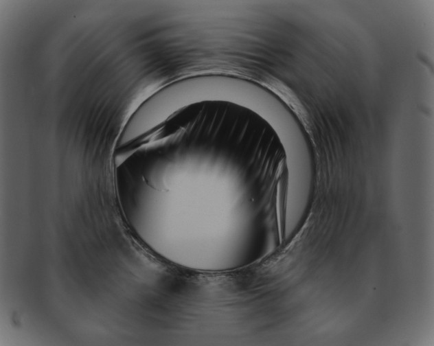 X0000091931242200710031053