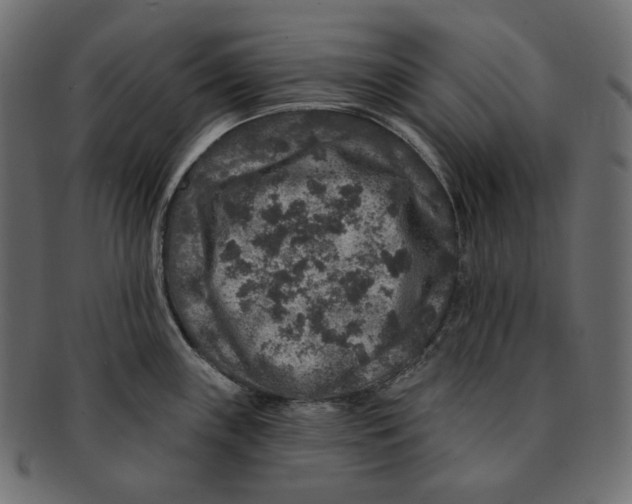 X0000091931243200710031053