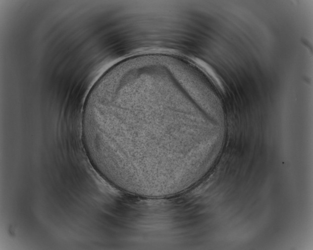 X0000091931244200710031053