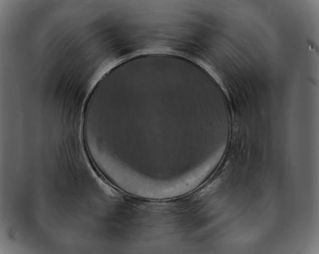 X0000091931245200710031053