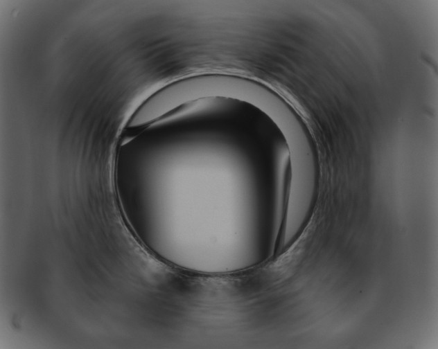 X0000091931246200710031053