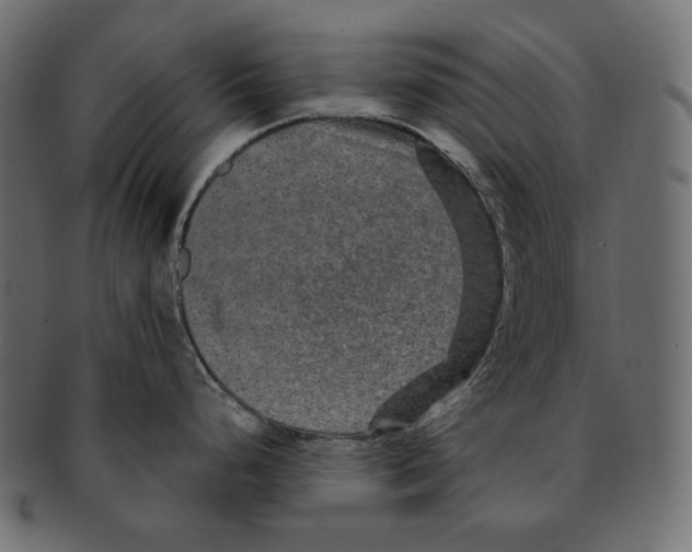 X0000091931248200710031053