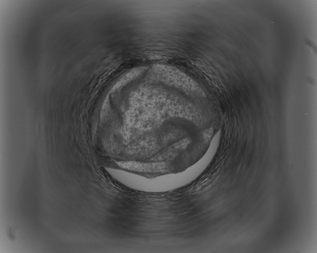 X0000091931249200710031052