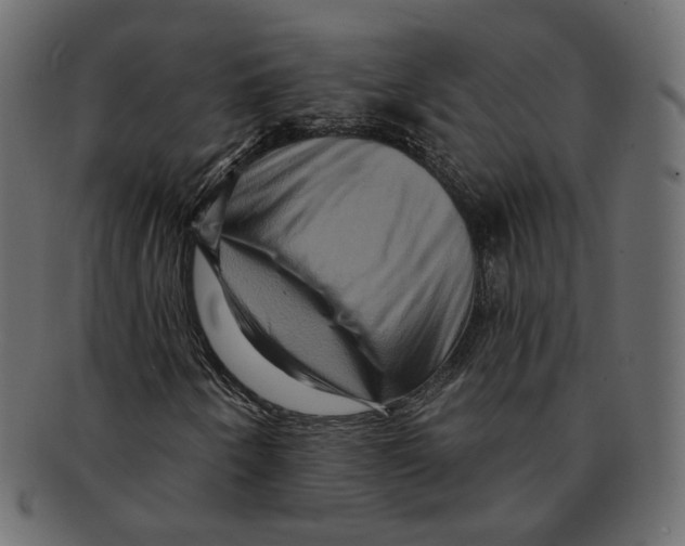 X0000091931250200710031052