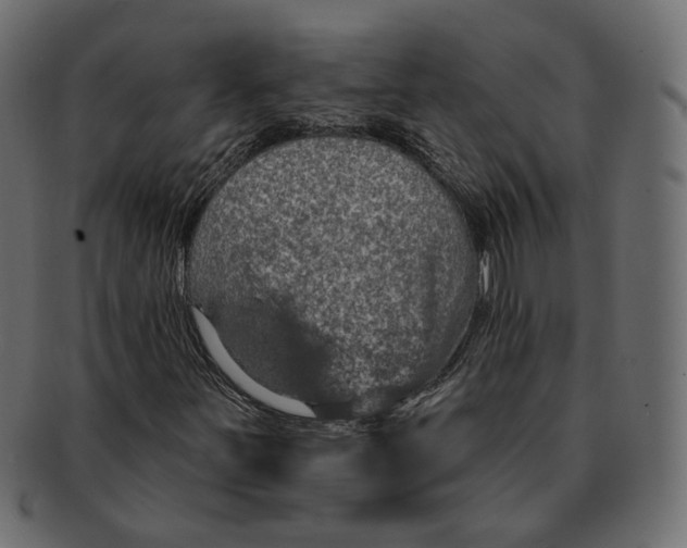 X0000091931251200710031052