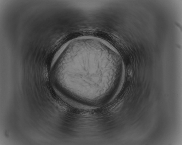 X0000091931252200710031052