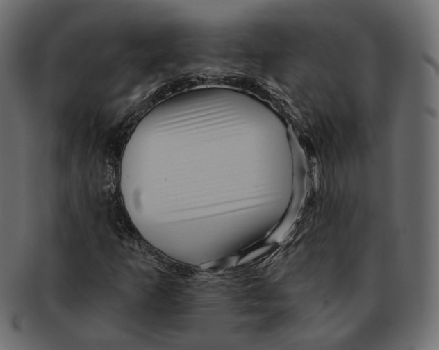 X0000091931253200710031052