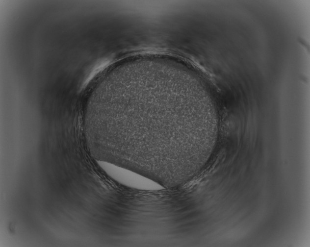 X0000091931255200710031052