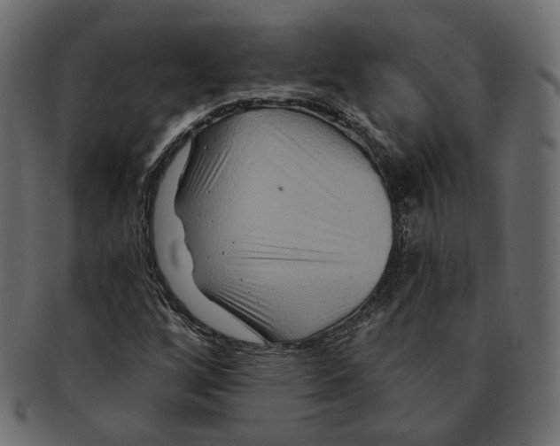 X0000091931256200710031052