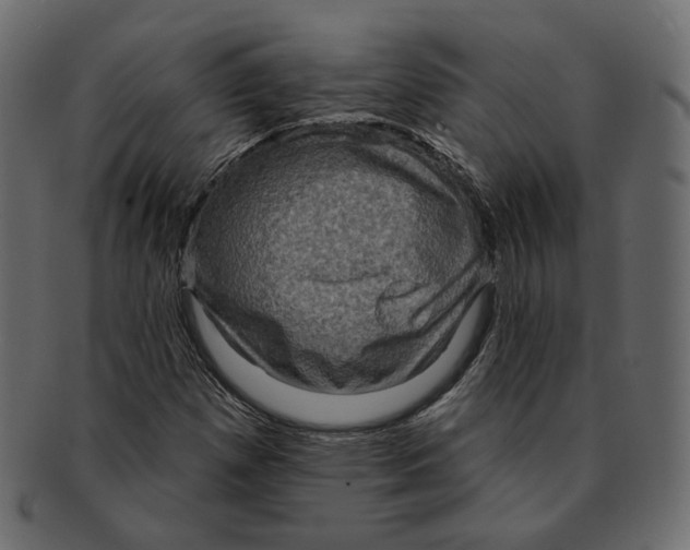 X0000091931257200710031052