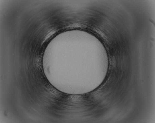 X0000091931258200710031052