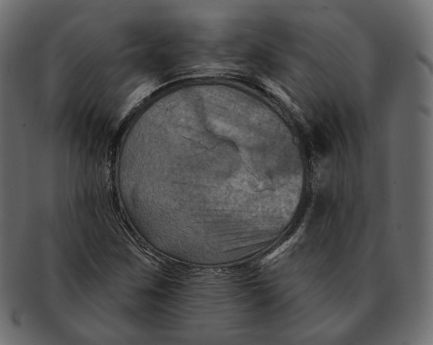 X0000091931259200710031052