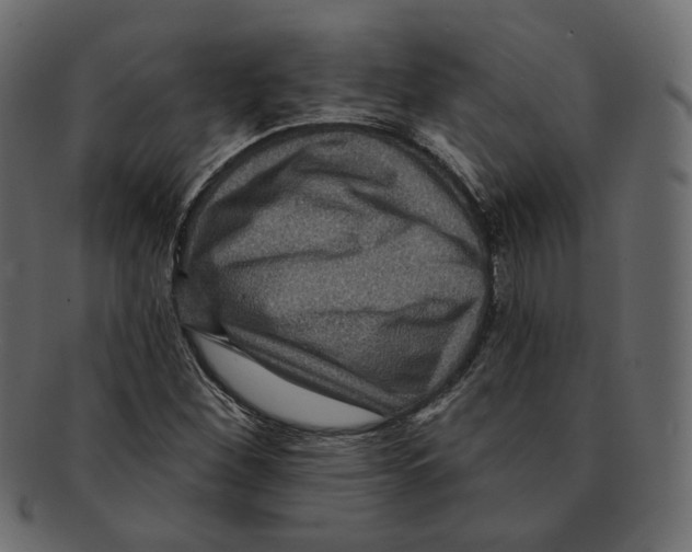 X0000091931260200710031052