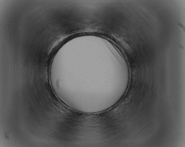 X0000091931262200710031052