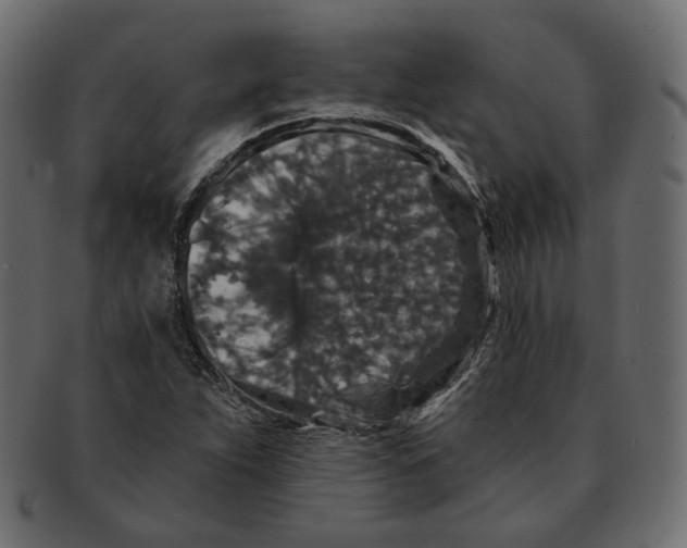 X0000091931263200710031052