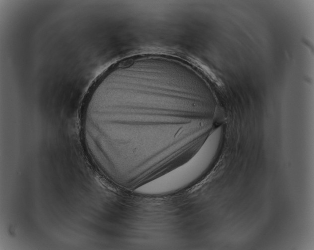 X0000091931264200710031052