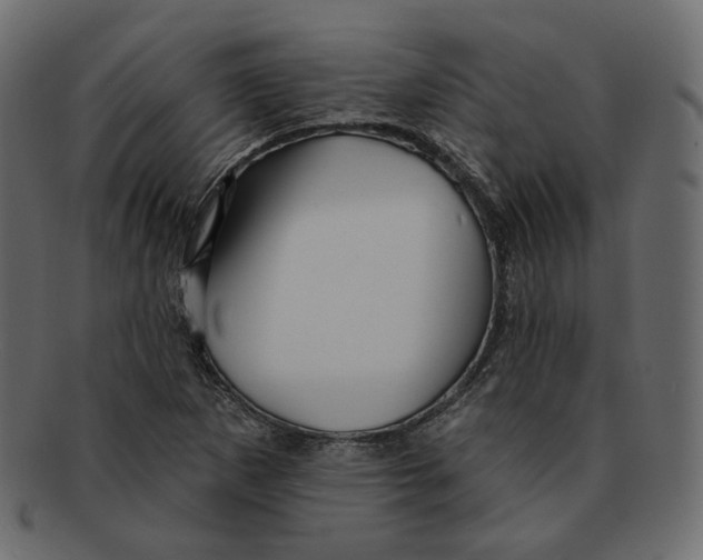 X0000091931265200710031052