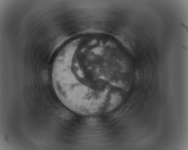 X0000091931266200710031052