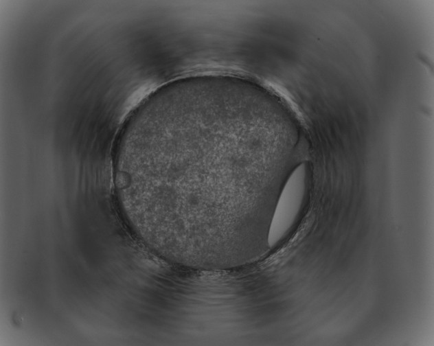 X0000091931267200710031052