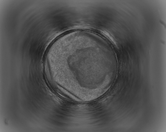 X0000091931268200710031052