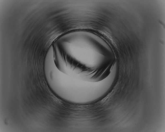 X0000091931273200710031052