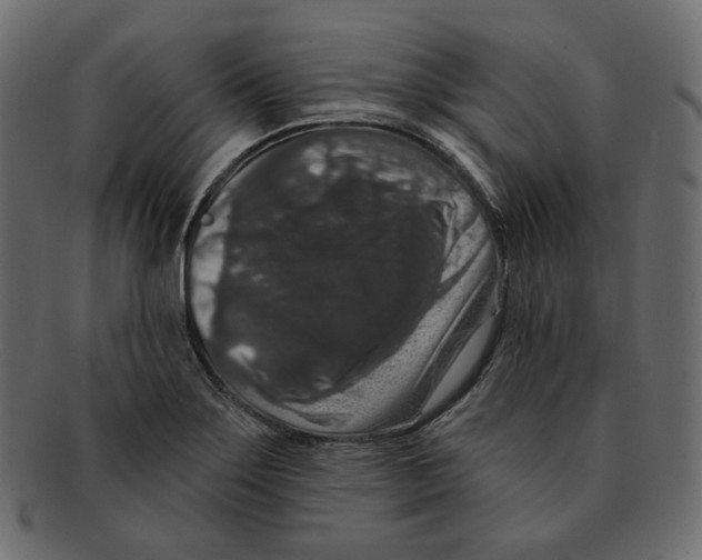 X0000091931275200710031052