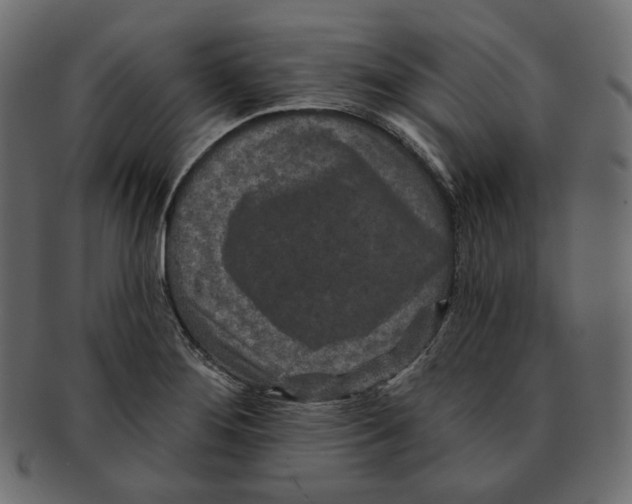 X0000091931276200710031052