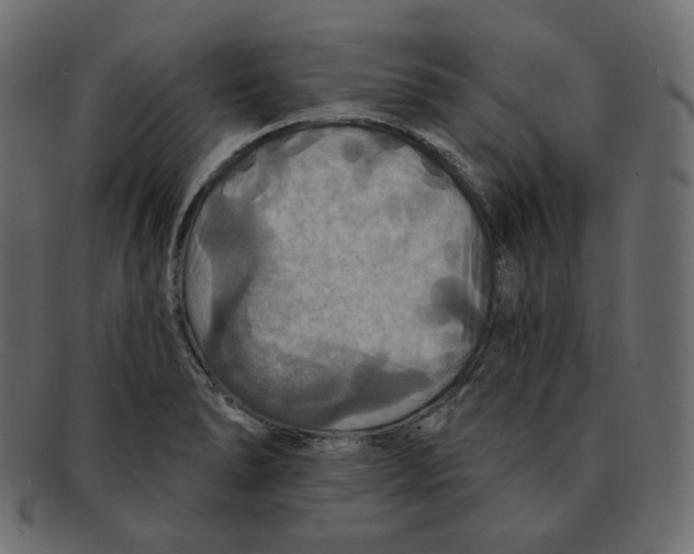 X0000091931278200710031052