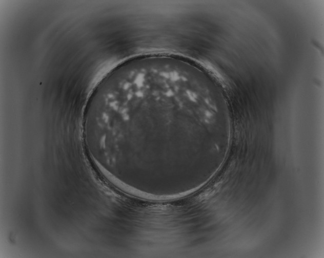 X0000091931279200710031052