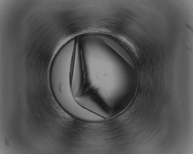 X0000091931280200710031052