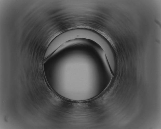 X0000091931281200710031052